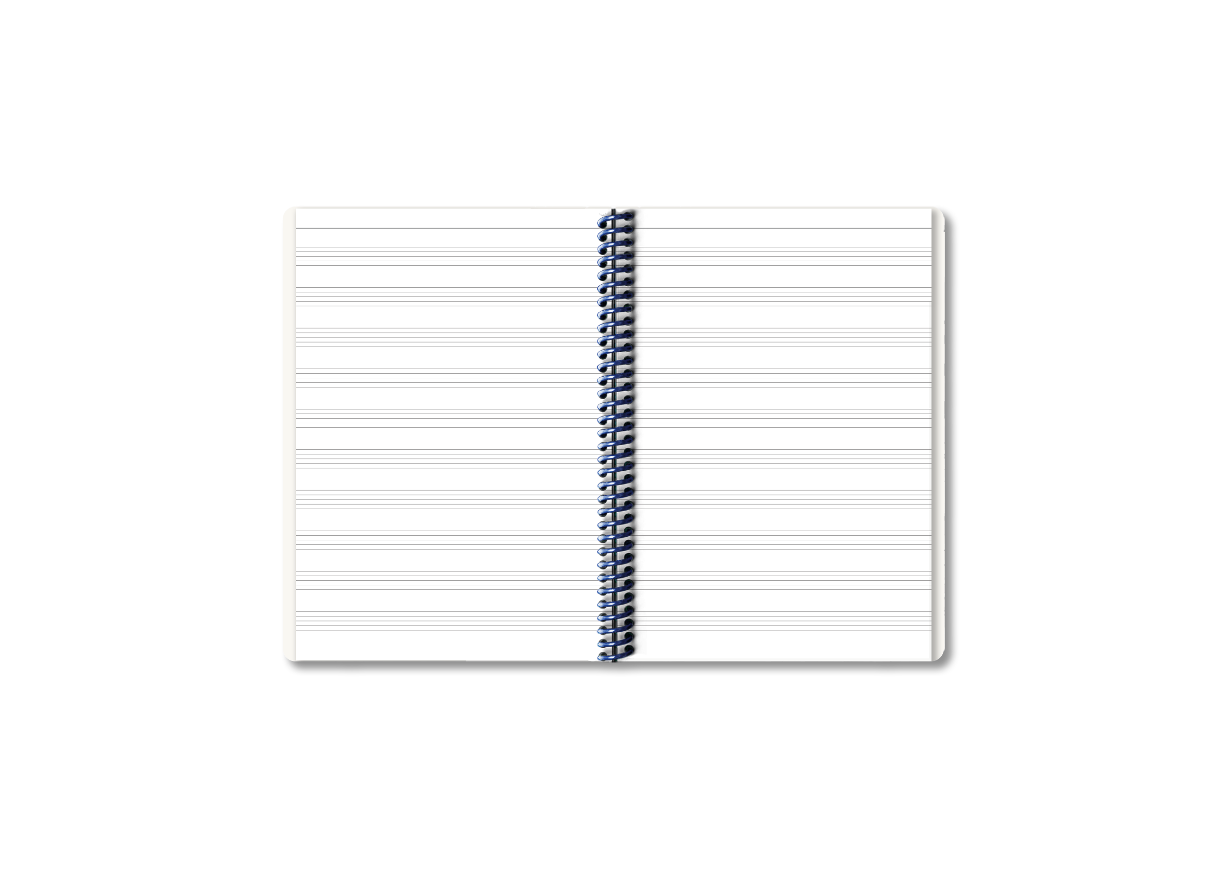 Vinyle “Chroniques terrestres vol.2“ + Carnet Voyou X Papier Tigre